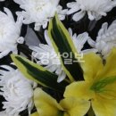 변호사이정용법률사무소