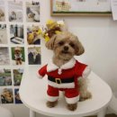 백짐 (100GYM) 이미지