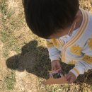 아람목장2 네이버블로그