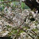 브로코인 노래연습장 이미지