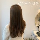 로이헤어살롱(Hair Salon)