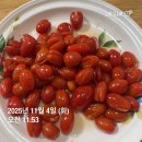 루카스건강검진센터루카스내과의원 | 내 몸이 달라지는 4주 루카스 7UP 프로그램으로 시작한 건강한 다이어트 (50대여자)