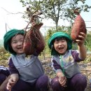 으뜸원 어린이집 이미지