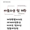 디자인리더제주