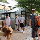 정원태권도 이미지