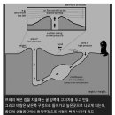 베르누이의 법칙을 완벽히 이해한 동물 이미지