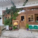 올드타임 | 고양이와 함께 힐링타임｜경주 불리단길 카페 추천 올드시티 내돈내산 솔직후기