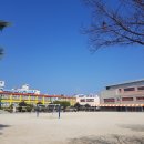 운동장 티스토리