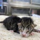 대천2동사무소 이미지