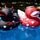 당신이 쓰는 모든 글이 카피다 이미지