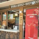 장흥생활체육공원 축구장 | 여름 시원한 물놀이장 추천. 울산 북구 오치골 양정생활체육공원 매년 이용한 솔직 후기