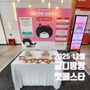 남부순환로317길 12 | 2025년 12월 궁디팡팡 캣페스타 고양이 펫박람회 난생처음 방문한 후기