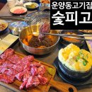 숯피고 | 운양동 소고기 맛집 가성비 최고 숯피고