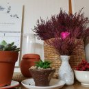 도초 만년사 이미지