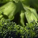 연세사랑의원 이미지