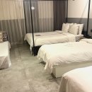 호텔더디자이너스 디디피 | 강남 호텔 더 디자이너스 후기｜4인 숙소 추천 이유