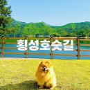산아래 | 횡성애견동반 가볼만한곳 횡성가볼만한곳 산책하기좋은 횡성호수길 5구간 애견동반후기