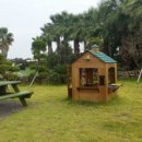 제주아이노스 이미지