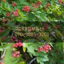 금계콩사랑 협동조합 이미지