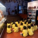 썬키즈어린이집 이미지