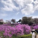 (주)동산만두 이미지