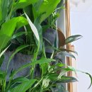 무학숲도서관 이미지