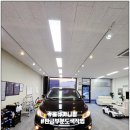 뉴완성공업사 | 곤지암 판금 부분도색 올뉴 카니발 차종 작업 후기