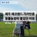 에코농장 | 제주 에코랜드 유모차 가능할까? 36개월·11개월 아이와 다녀온 후기
