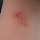 64 inn HOTEL | 우리들의 발리 🇮🇩: 우붓