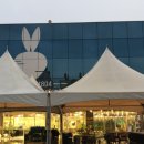 대정동 | [대전] 대정동 파머스마켓 베지래빗804 ㅣ 관저동 브런치카페 MJMJ