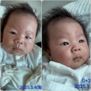 부천시원미노인복지관 | [일일감사]평생현역의 감사일기 1275(3.5)_원미노인복지관