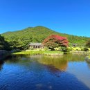 내외국인이 함께 만드는 안전하고 활력있는 마을, 보산 | 가족여름휴가(진도여행)운림산방,팽목항,세방낙조,솔비치진도(2025.07.27)
