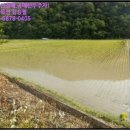 부계보건진료소 이미지