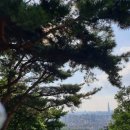 SH골프랜드 | 하남 캐슬렉스CC 라운딩 후기 — 강동 20분의 도심 골프, 그러나 잔디가 발목