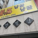 냥꿀냥꿀 | &#39; 익산 영등동 고양이카페 &#39; 냥꿀냥꿀 🐾 집사체험 솔직후기