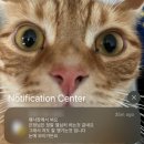 전주리퍼브마켓 | 잔말말고 여름 일기 파워 냉방으로 틀어