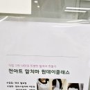 풀잎문화센터 티스토리
