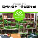 증안리약초마을 협동조합 이미지