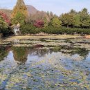 무심교옆 이미지