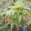 한우리교회 이미지