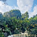 세화1리마을회관 이미지