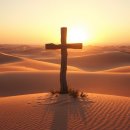 은혜예복 이미지