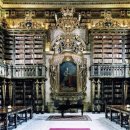 책 속의 여행 | &#34;책 속의 세계 여행: 독특한 도서관 BEST 5&#34;