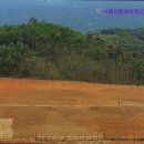 서울정신요양원 | {경기도, 용인, 요양원, 요양센터, 추천!} 서울시립영보정신요양원 용인 요양원, 믿음직한 선택
