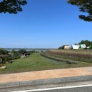 해남공룡박물관 | 해남가볼만한곳, 어린이가 너무 좋아할 해남 공룡 박물관 관람 후기