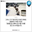 한국 듀이