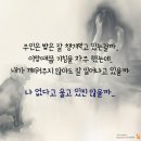 무지개광고 이미지