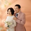 동백꽃사진관