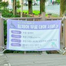 맨발걷기 효능과 부작용 여수 미평 봉화산 산림욕장
