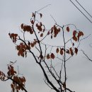 부천테크노파크 이미지